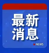 关于最新：字母哥至今英超出牌最多的信息